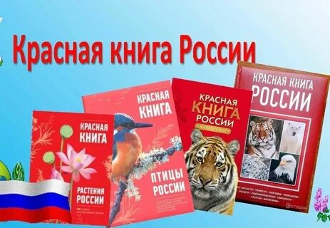 Викторина &amp;quot;Животные Красной книги России&amp;quot;.