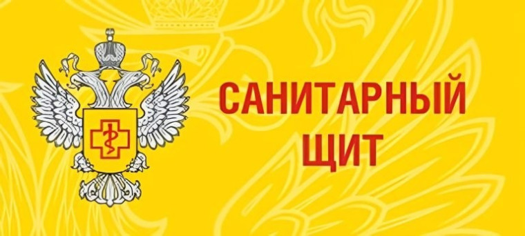 «Санитарный щит-безопасность для здоровья (предупреждение, выявление, реагирование).